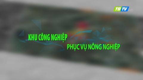 Thời sự thứ bảy 09-2-2019