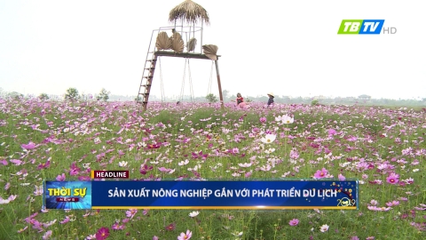 Thời sự thứ chủ nhật  10-2-2019