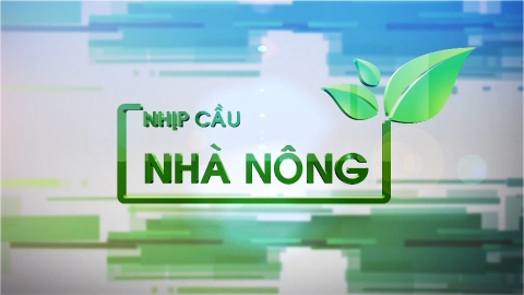 Vấn đề bao ti&ecirc;u sản phẩm