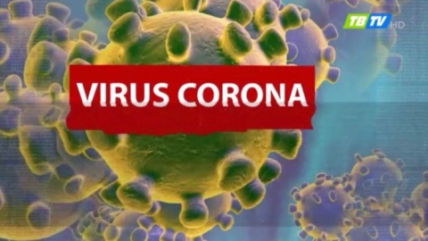 Virut Corona