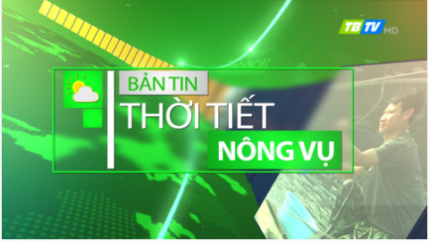 DỰ B&Aacute;O THỜI TIẾT N&Ocirc;NG VỤ TH&Aacute;I B&Igrave;NH 6-5-2024