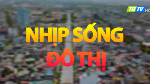 Nhịp sống đ&ocirc; thị S7