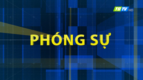 PH&Oacute;NG SỰ - VƯỢT QUA B&Oacute;NG TỐI