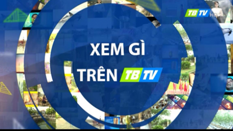 Xem g&igrave; tr&ecirc;n TBTV 3-2-2022