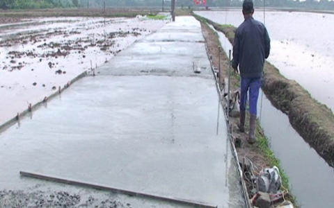 C&ocirc;ng văn số 247/UBND-NNTNMT ng&agrave;y 25/01/2016 về việc chỉ đạo thực hiện Đề &aacute;n sản xuất vụ Xu&acirc;n Vụ H&egrave; năm 2016