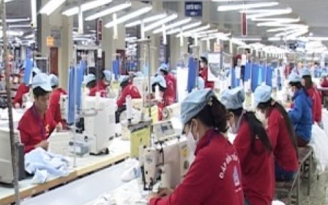 Ra qu&acirc;n sản xuất đầu năm tr&ecirc;n địa b&agrave;n tỉnh