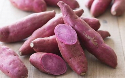 Top 6 loại thực phẩm &iacute;t &ldquo;ngậm&rdquo; thuốc trừ s&acirc;u