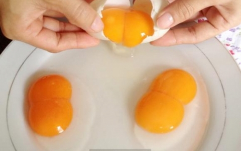 Trứng g&agrave; hai l&ograve;ng đỏ c&oacute; bổ dưỡng?