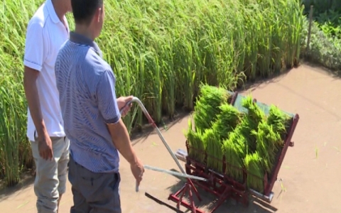  N&ocirc;ng d&acirc;n Trần Đại Nghĩa s&aacute;ng tạo m&aacute;y cấy kh&ocirc;ng sử dụng động cơ