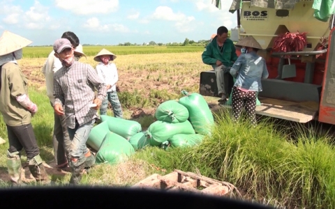Khai mạc Phi&ecirc;n chợ đưa h&agrave;ng Việt về n&ocirc;ng th&ocirc;n