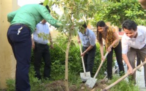 Ph&aacute;t động hưởng ứng ng&agrave;y m&ocirc;i trường thế giới năm 2017