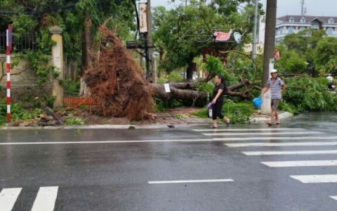 Th&agrave;nh phố Th&aacute;i B&igrave;nh sau cơn b&atilde;o số 1