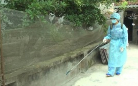 C&ocirc;ng t&aacute;c ph&ograve;ng chống dịch sốt xuất huyết chưa hiệu quả