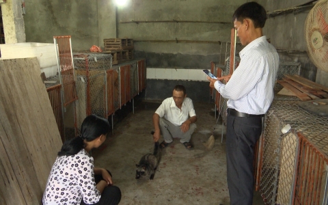 M&ocirc; h&igrave;nh nu&ocirc;i Chồn hương 