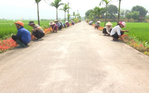 X&atilde; H&ograve;a B&igrave;nh duy tr&iacute; v&agrave; n&acirc;ng cao chất lượng x&atilde; đạt chuẩn n&ocirc;ng th&ocirc;n mới