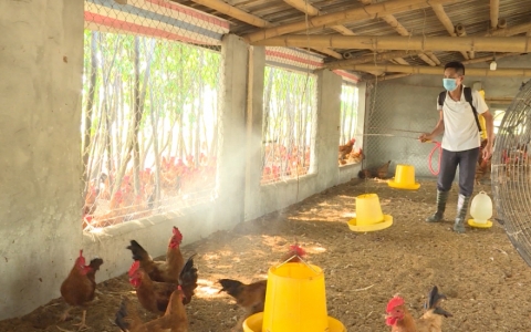 T&aacute;i đ&agrave;n chăn nu&ocirc;i phục vụ thị trường cuối năm