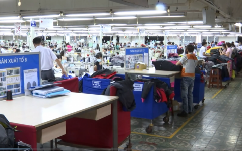 Doanh nghiệp th&agrave;nh lập mới tăng nhanh
