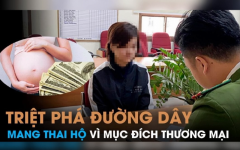Triệt ph&aacute; đường d&acirc;y tổ chức mang thai hộ