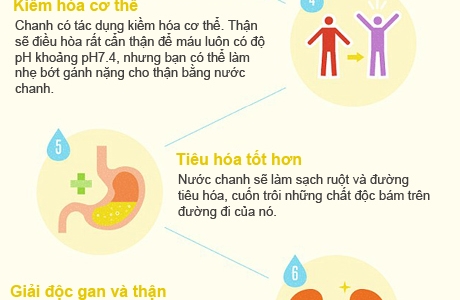 10 l&yacute; do kh&ocirc;ng thể kh&ocirc;ng uống nước chanh ấm mỗi s&aacute;ng!