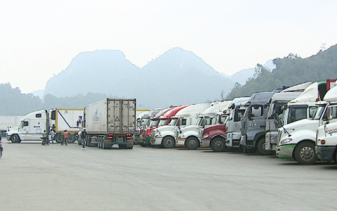 Xuất khẩu rau quả lập kỷ lục mới
