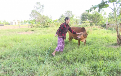Hỗ trợ sinh kế cho người ngh&egrave;o