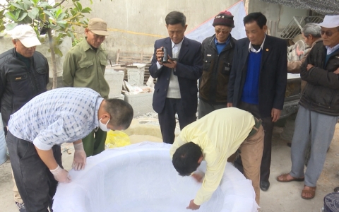 Th&agrave;nh c&ocirc;ng từ nghề l&agrave;m chậu cảnh