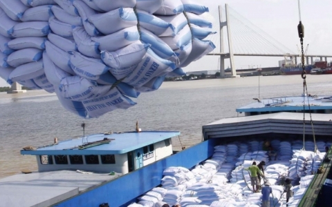 Xuất khẩu gạo sang Philippines lần đầu vượt mốc 1 tỷ USD