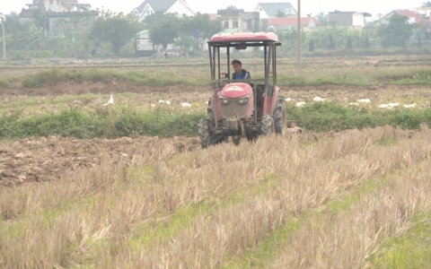 Thanh ni&ecirc;n trẻ ti&ecirc;u biểu