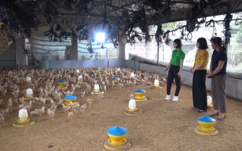Sản xuất n&ocirc;ng nghiệp xanh tuần ho&agrave;n