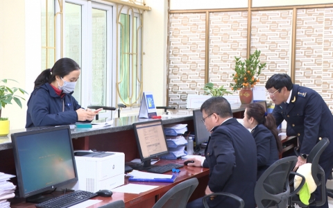 Chi cục Hải quan Th&aacute;i B&igrave;nh thu nộp ng&acirc;n s&aacute;ch 300 tỷ đồng