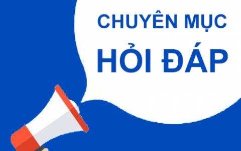 Qu&yacute; đ&agrave;i cho t&ocirc;i hỏi c&aacute;c chương tr&igrave;nh lễ hội sao kh&ocirc;ng c&oacute; video?