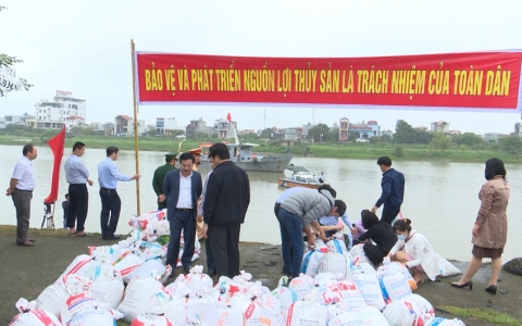 Thả giống thuỷ sản ra v&ugrave;ng nước tự nhi&ecirc;n