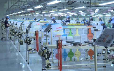 Kim ngạch xuất khẩu tỉnh Th&aacute;i B&igrave;nh 2 th&aacute;ng đạt gần 700 triệu USD