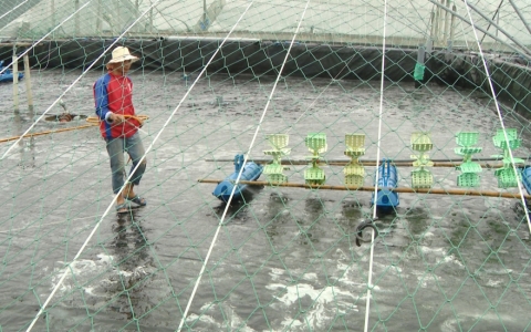 Sẵn s&agrave;ng c&aacute;c điều kiện cho nu&ocirc;i thủy sản vụ xu&acirc;n h&egrave;