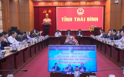 Hội nghị trực tuyến to&agrave;n quốc triển khai c&ocirc;ng t&aacute;c ph&ograve;ng chống dịch tả lợn ch&acirc;u Phi : &ldquo;Chống dịch như chống giặc"  