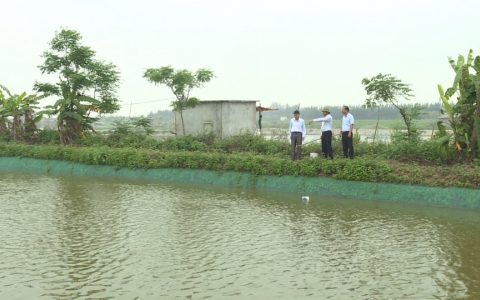 Những n&ocirc;ng d&acirc;n năng động ph&aacute;t triển kinh tế