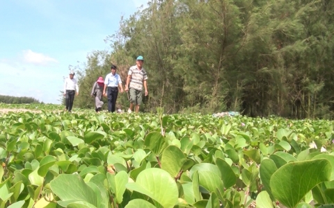 Thương binh Vũ Văn Tưởng ươm mầm rừng xanh