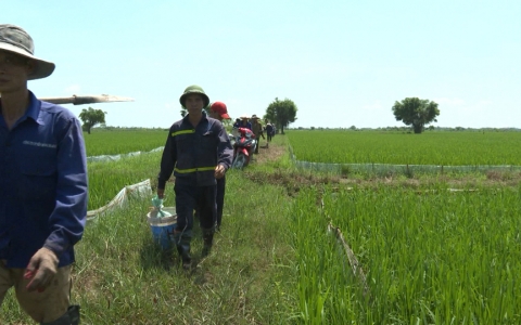 Thuốc hỗ trợ diệt chuột nhưng chuột kh&ocirc;ng chết?
