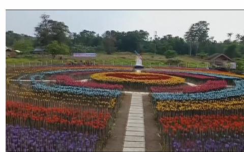 Vườn Tulip bằng vỏ chai nhựa