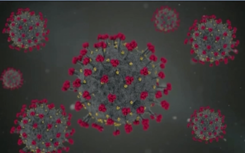 Phương ph&aacute;p mới ph&acirc;n t&iacute;ch m&atilde; gene virus SARS-CoV-2