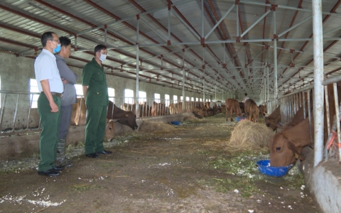 Huyện Quỳnh Phụ c&oacute; tr&ecirc;n 100 m&ocirc; h&igrave;nh ph&aacute;t triển kinh tế do cựu chiến binh l&agrave;m chủ