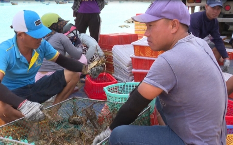 Th&ocirc;ng tin thị trường ng&agrave;y 27-11