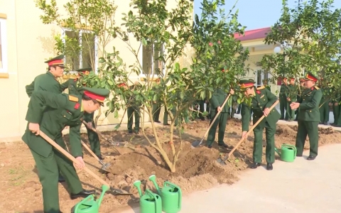 Tết trồng c&acirc;y xu&acirc;n Canh T&yacute; 2020