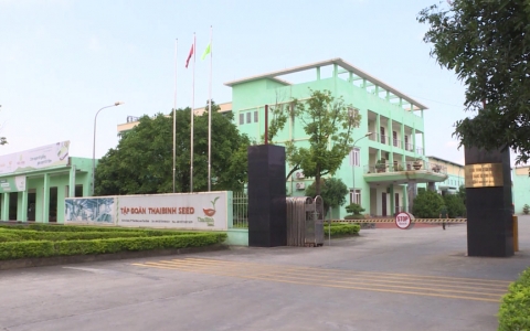 N&acirc;ng cao vai tr&ograve; tổ chức Đảng trong doanh nghiệp