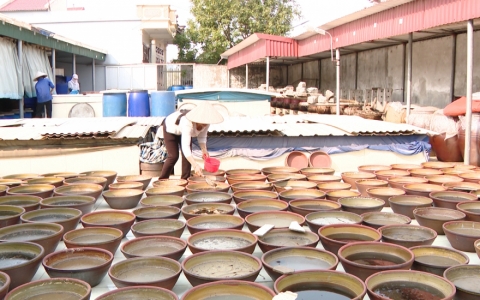 Giải ph&aacute;p th&uacute;c đẩy ph&aacute;t triển sản phẩm Ocop bền vững 