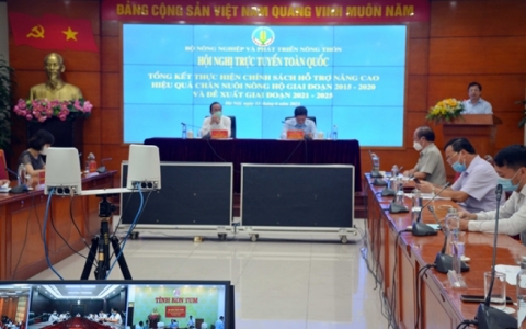 Thực hiện ch&iacute;nh s&aacute;ch hỗ trợ n&acirc;ng cao hiệu quả chăn nu&ocirc;i n&ocirc;ng hộ giai đoạn 2015 &ndash; 2020 