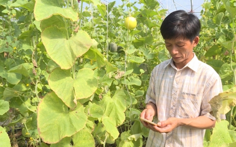 Những n&ocirc;ng d&acirc;n số