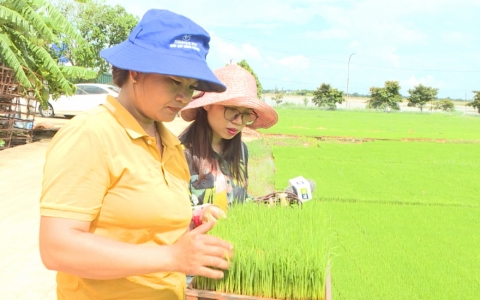 Th&aacute;o gỡ kh&oacute; khăn từ thực hiện nghị quyết số 08