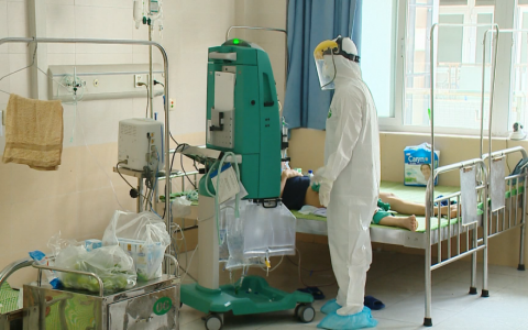 Việt Nam đ&atilde; c&oacute; 7 biến chủng của virus SARS-CoV-2