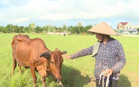 Chung tay v&igrave; người ngh&egrave;o